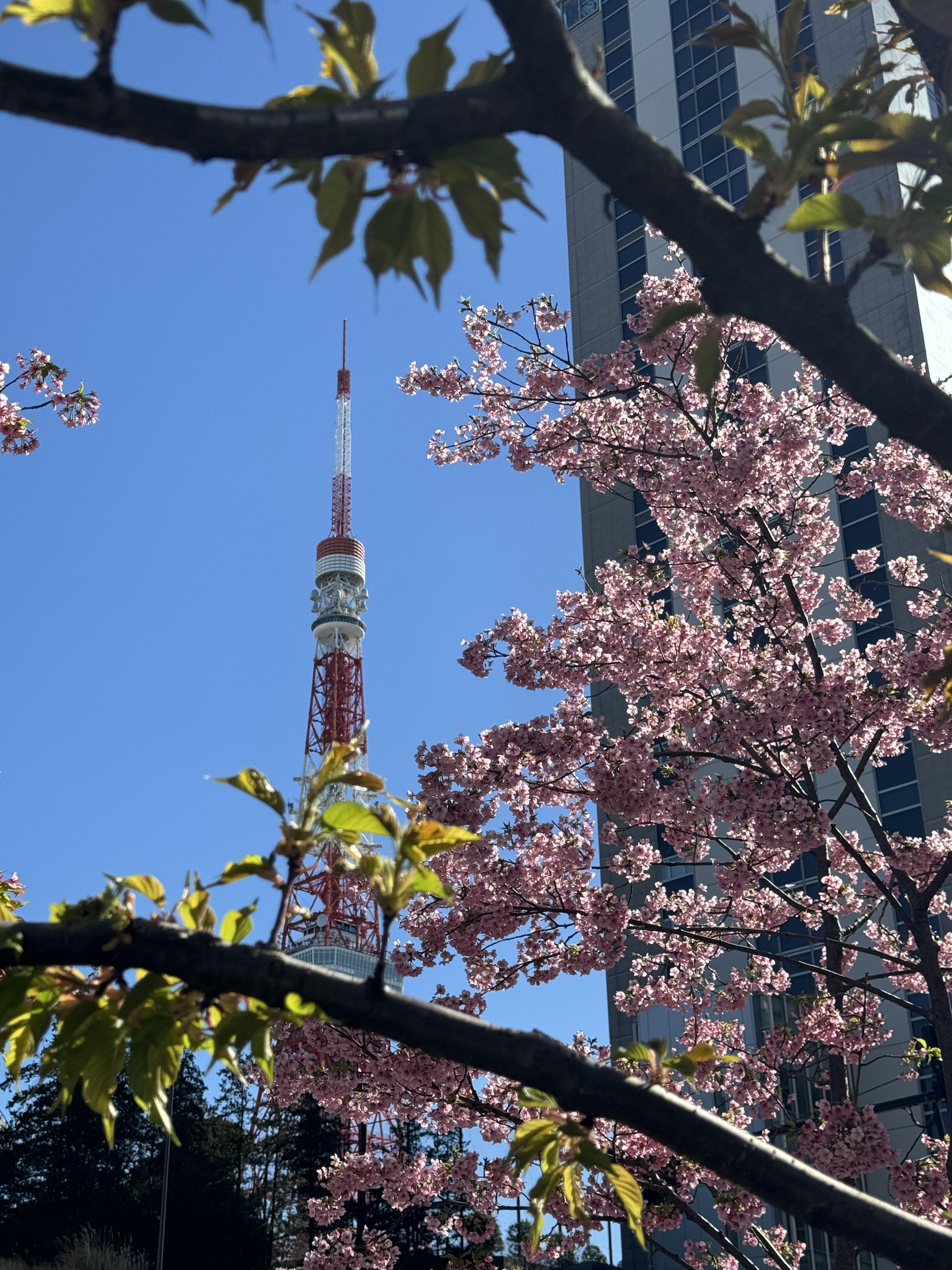 Tokyo2024TokyoTower